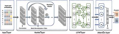 Developing a Multi-Layer Deep Learning Based Predictive Model to Identify DNA N4-Methylcytosine Modifications